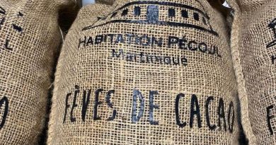 D’OU VIENT LE CACAO ? VOYAGE AUX ORIGINES D’UN INGREDIENT D’EXCEPTION D’OU VIENT LE CACAO ? VOYAGE AUX ORIGINES D’UN INGREDIENT D’EXCEPTION