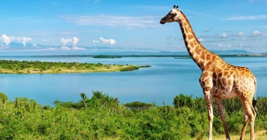 DES VILLES QUI FONCTIONNENT : QUAND LE TOURISME URBAIN CREE DES EMPLOIS DES VILLES QUI FONCTIONNENT : QUAND LE TOURISME URBAIN CREE DES EMPLOIS