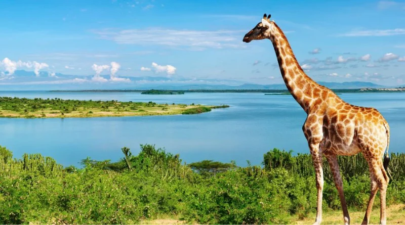 DES VILLES QUI FONCTIONNENT : QUAND LE TOURISME URBAIN CREE DES EMPLOIS DES VILLES QUI FONCTIONNENT : QUAND LE TOURISME URBAIN CREE DES EMPLOIS