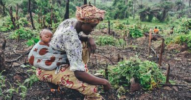 AFRIQUE : LA CRISE CLIMATIQUE REPRESENTE UNE MENACE EXISTENTIELLE AFRIQUE : LA CRISE CLIMATIQUE REPRESENTE UNE MENACE EXISTENTIELLE