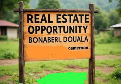 OPPORTUNITÉ FONCIÈRE – BONABERI, DOUALA 🇨🇲