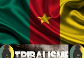 CAMEROUN : LA DANGEREUSE BANALISATION DU TRIBALISME